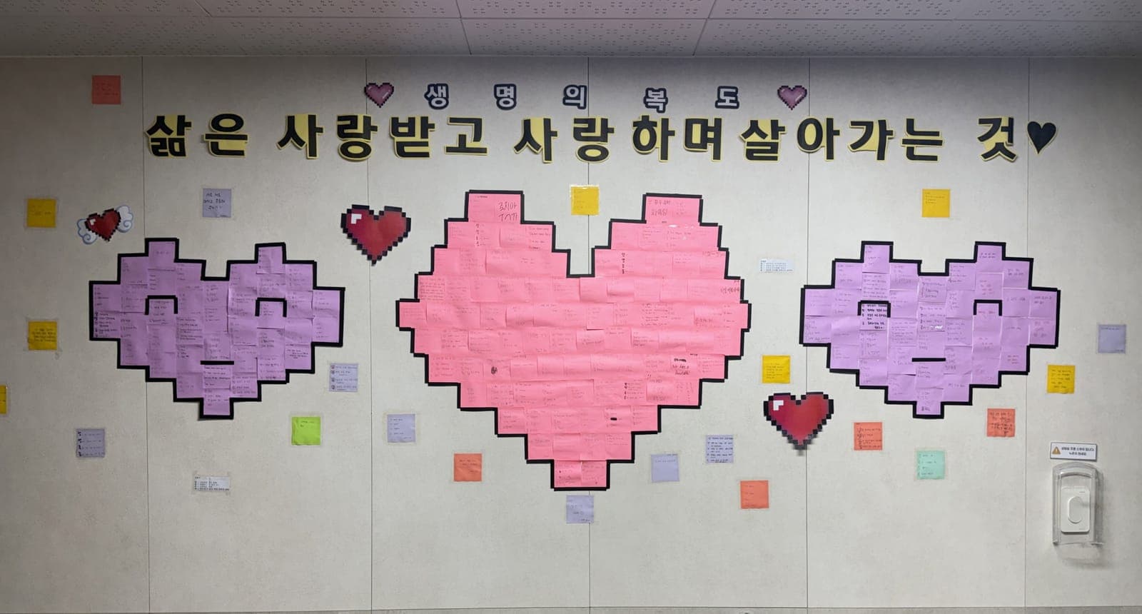 과천 13개교, "생명의 복도" 캠페인 사진 4